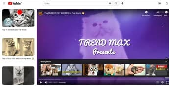 Screenshot of YouTube Player project - slide 1